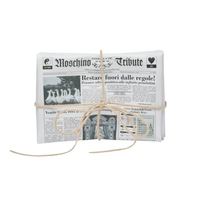 THE NEWSPAPER BAG